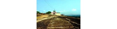 பால சுப்பிரமண்யா – உரவப்பாறா